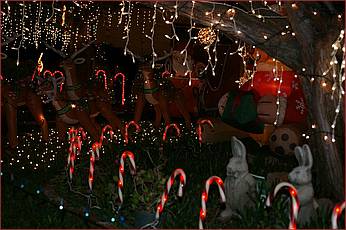 XmasLights09-021b.jpg