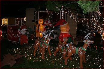 XmasLights09-022b.jpg