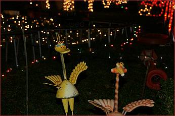 XmasLights09-033b.jpg