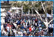 SJ_JazzFest05-094b.jpg