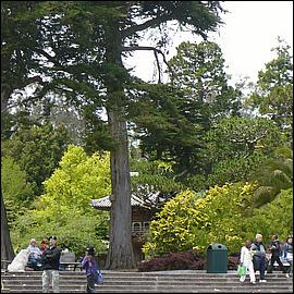 SJMB_GoldenGatePark2011-19.jpg