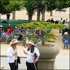 SJMB_GoldenGatePark2015-29-web.jpg