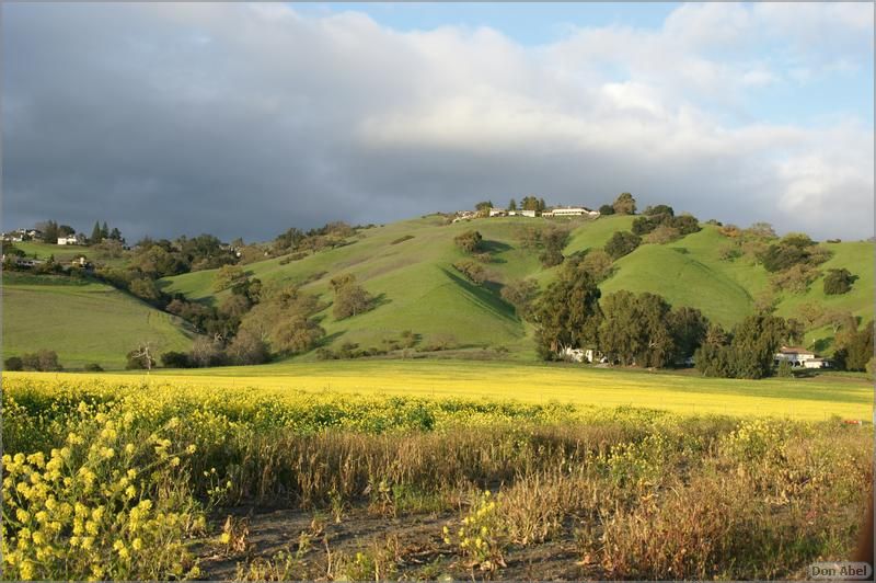 MorganHill09-04b.jpg - for personal use