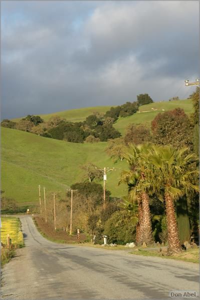 MorganHill09-08b.jpg - for personal use