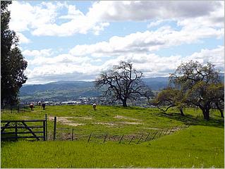 MorganHill09-01c.jpg