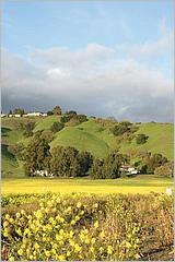 MorganHill09-06b.jpg