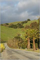 MorganHill09-08b.jpg