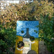 ZS-MacLeodVineyards-83a.jpg