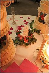 Melanie+James_reception-049b.jpg