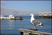 Dixieland_Monterey05-00-30b.jpg