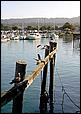 Dixieland_Monterey05-26b.jpg