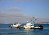 Dixieland_Monterey05-32b.jpg