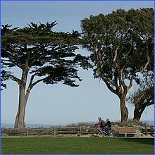 Monterey2013-014.jpg