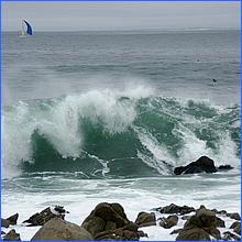 PacificGrove2016-020a.jpg