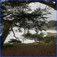 PacificGrove2016-025a.jpg