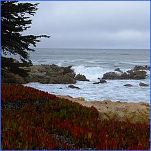 PacificGrove2016-044a3.jpg