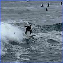 PacificGrove2016-126a.jpg