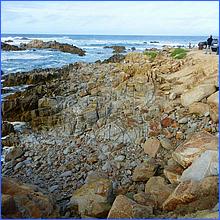 PacificGrove2016-184.jpg