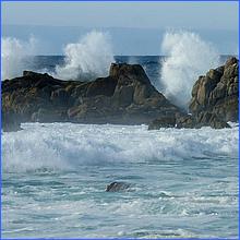 PacificGrove2016-198a.jpg