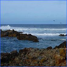 PacificGrove2016-202a.jpg