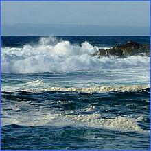 PacificGrove2016-204a.jpg