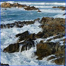 PacificGrove2016-211a.jpg