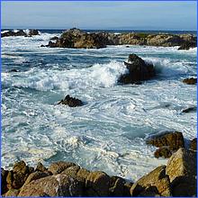 PacificGrove2016-214a.jpg