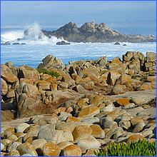 PacificGrove2016-252.jpg