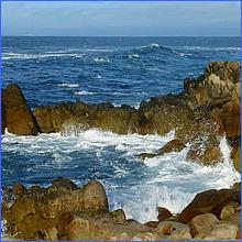 PacificGrove2016-253a.jpg