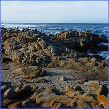 PacificGrove2016-258a.jpg