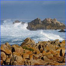 PacificGrove2016-283.jpg