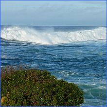 PacificGrove2016-298.jpg