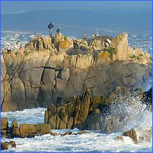 PacificGrove2016-348a.jpg