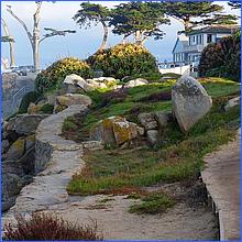 PacificGrove2016-365c1.jpg