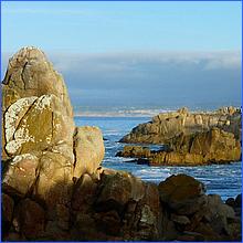 PacificGrove2016-368.jpg