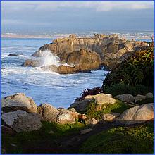 PacificGrove2016-373a.jpg