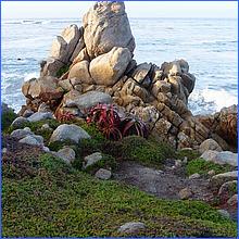 PacificGrove2016-378.jpg