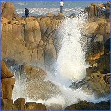 PacificGrove2016-383a.jpg