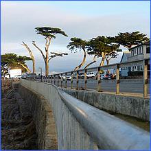 PacificGrove2016-387.jpg