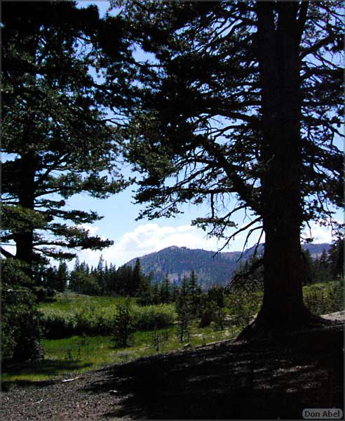 Tahoe_JUL05-60b.jpg