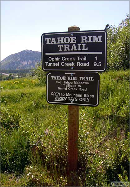 Tahoe_JUL05-73b.jpg