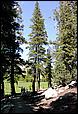 Tahoe_JUL05-12b.jpg