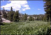 Tahoe_JUL05-27b.jpg