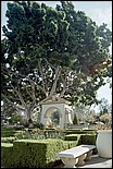 Balboa_Park-20.jpg