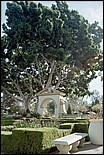 Balboa_Park-20.jpg