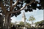 Balboa_Park-23.jpg