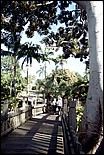 Balboa_Park-24.jpg