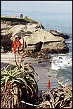 LaJolla-14.jpg