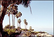 LaJolla-15.jpg