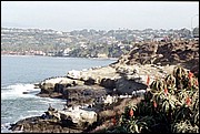 LaJolla-16.jpg